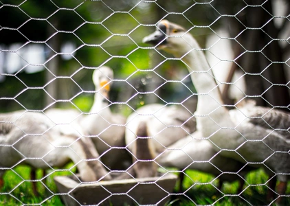 Banner do produto Distribuidor de Tela Hexagonal