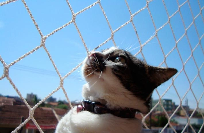 Banner do produto Distribuidor de Telas Rede de Proteção