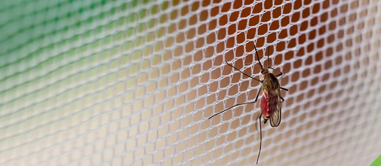 Banner do produto Fabricante de Telas Nylon