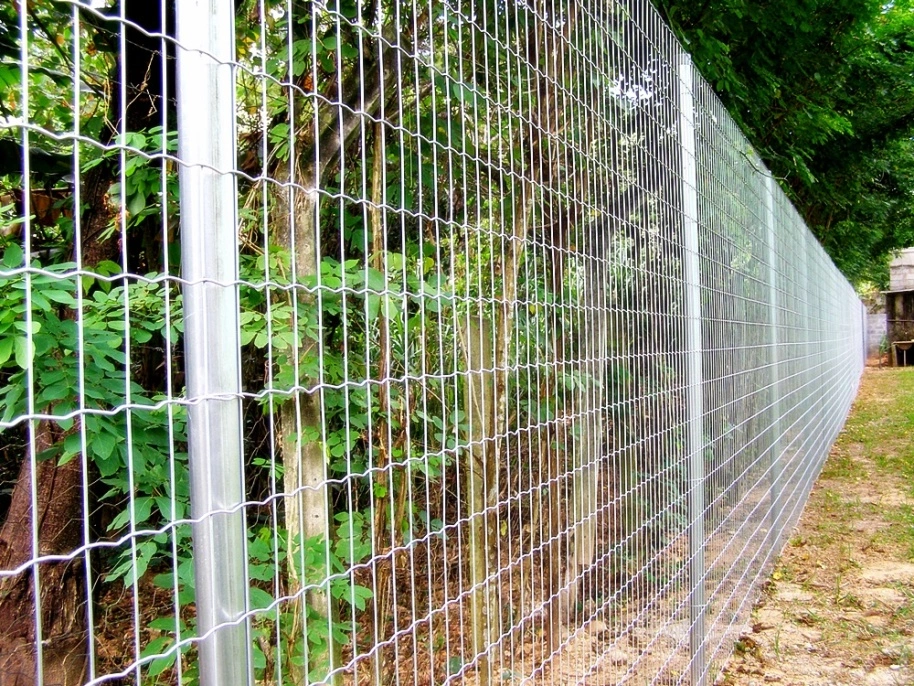 Banner do produto Tela Soldada Preço